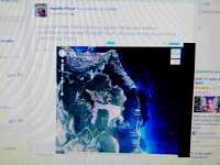 x stampa facebook vol